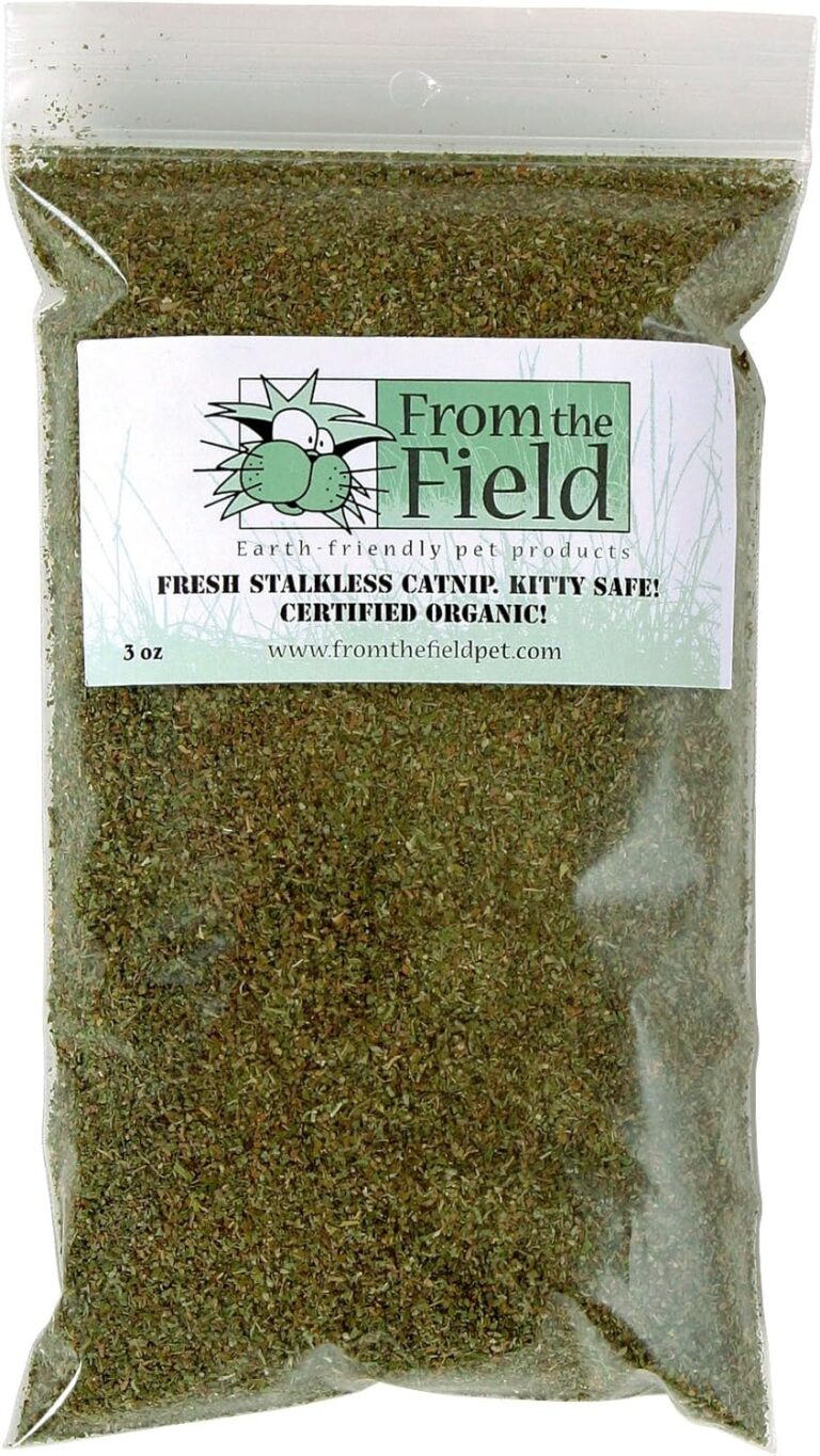 Premium USA-Grown Catnip | Fine Ground Stalkless Catnip for Toys & Playtime | Fresh, Potent & Safe for Cats & Kittens