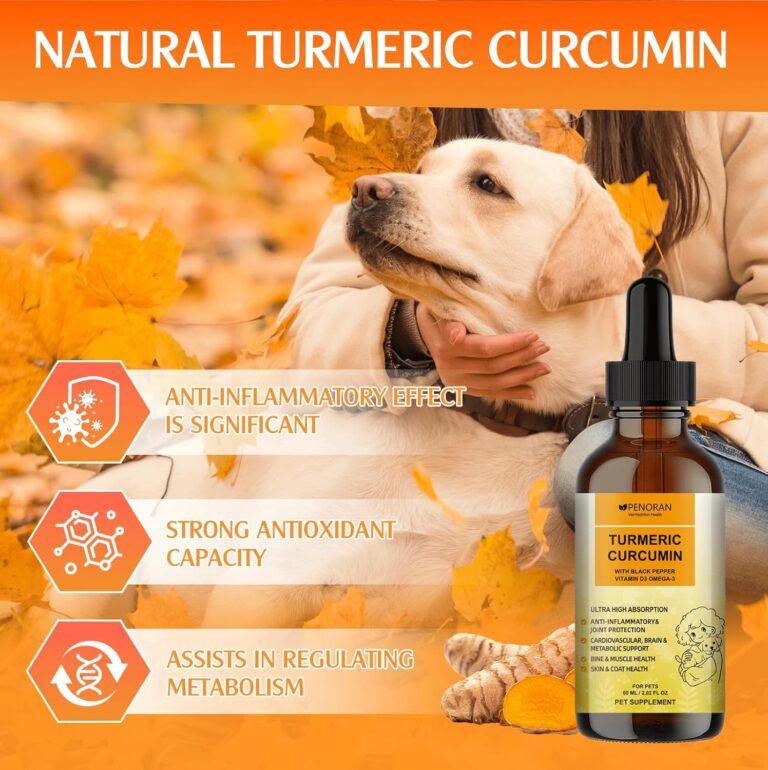 Turmeric Curcumin Drops for Dogs & Seniors: Anti-Inflammatory Pain Relief, Improves Joint Mobility, Brain & Liver Health